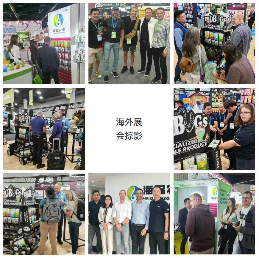 ScreenShot_2026-01-19_161625_019