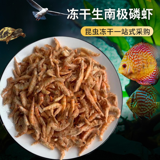 冻干南极磷虾