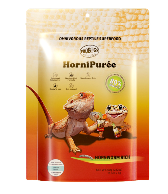 谱博斯鬃狮蜥昆虫泥