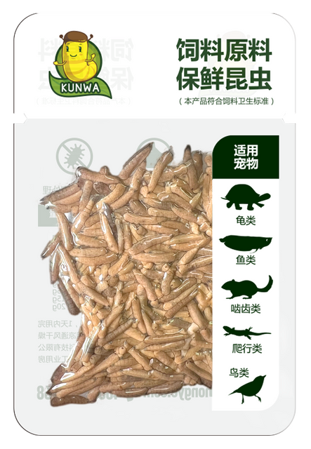 昆娃米虫保鲜昆虫