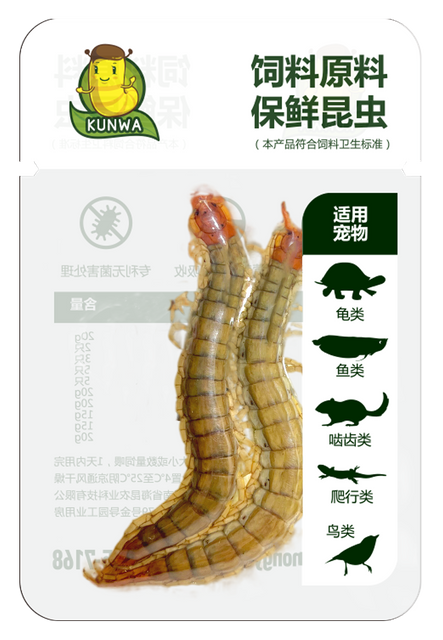 昆娃蜈蚣保鲜昆虫