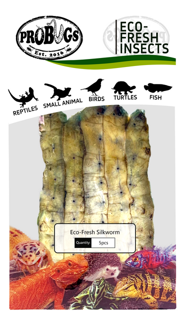 probugs蚕保鲜昆虫
