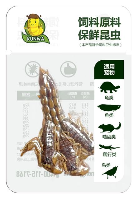 昆娃蝎子保鲜昆虫